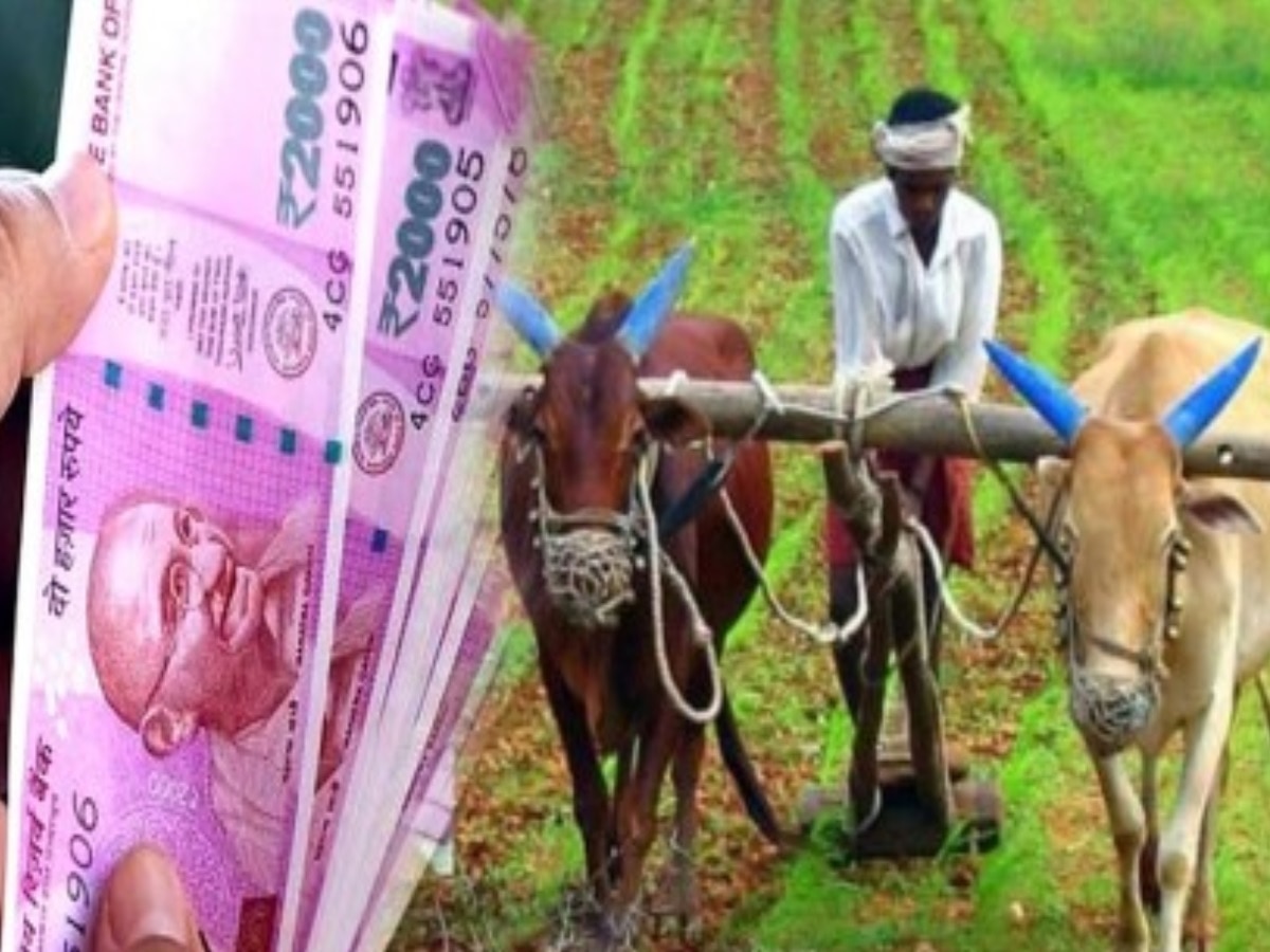 PM Kisan Yojana: क्या बढ़ेगा किसान सम्मान निधि का पैसा? सरकार ने दे दिया जवाब!