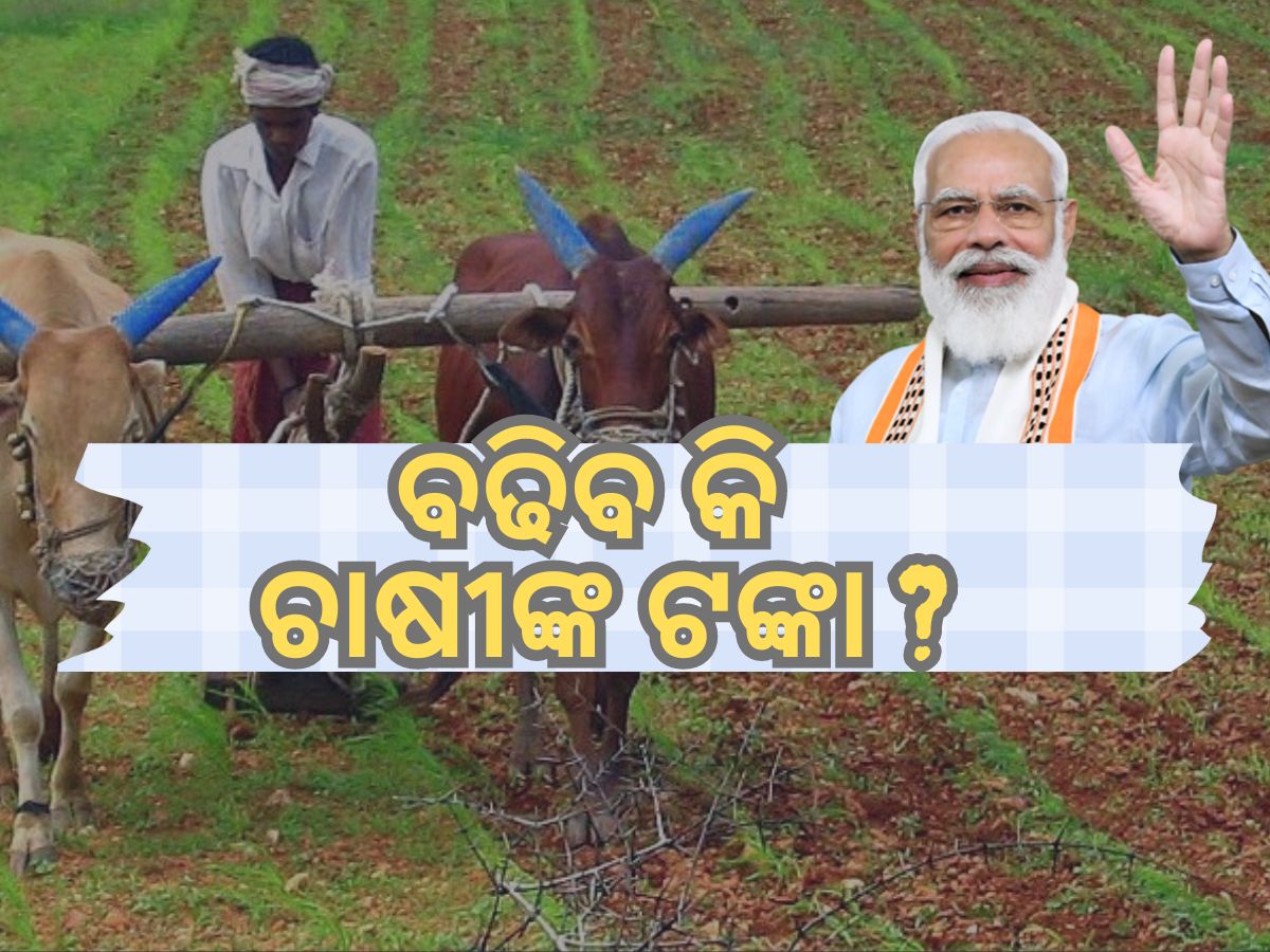 ବଢ଼ିବକି କିଷାନ ସମ୍ମାନ ନିଧି ଟଙ୍କା? ଜାଣନ୍ତୁ କ'ଣ କହିଲେ ସରକାର ! ବଢ଼ିବକି କିଷାନ ସମ୍ମାନ ନିଧି ଟଙ୍କା? ଜାଣନ୍ତୁ କ'ଣ କହିଲେ ସରକାର !