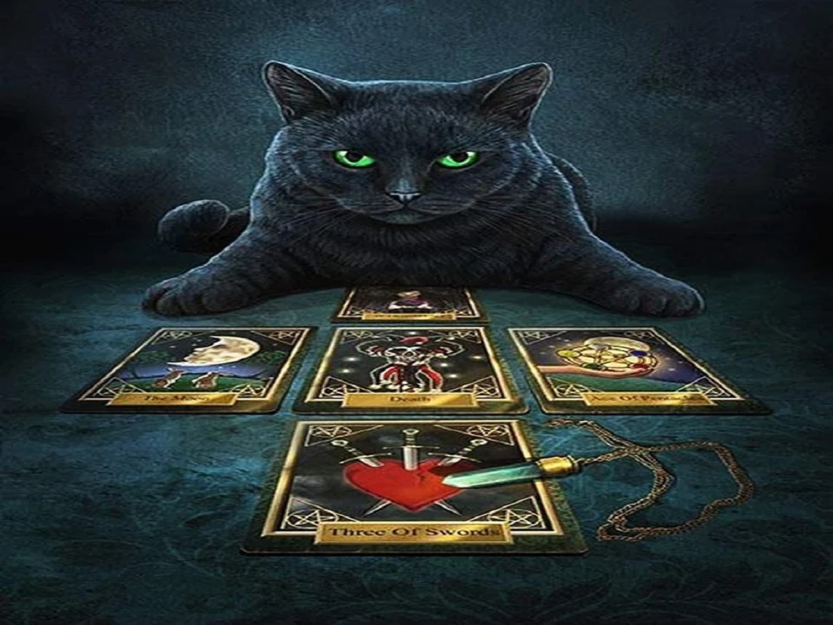 Daily Tarot Card Today 07 February 2024: आज इस राशि के जातक काली बिल्ली से रहे दूर, बरतें सावधानी!