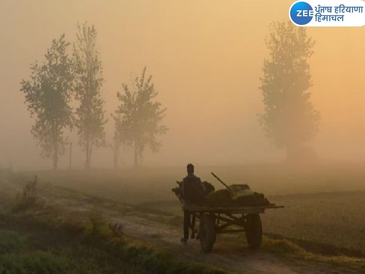 Punjab Weather Update: ਪੰਜਾਬ 'ਚ ਚੱਲ ਰਹੀਆਂ ਠੰਡੀਆਂ ਹਵਾਵਾਂ, ਮੌਸਮ ਵਿਭਾਗ ਨੇ ਯੈਲੋ ਅਲਰਟ ਕੀਤਾ ਜਾਰੀ