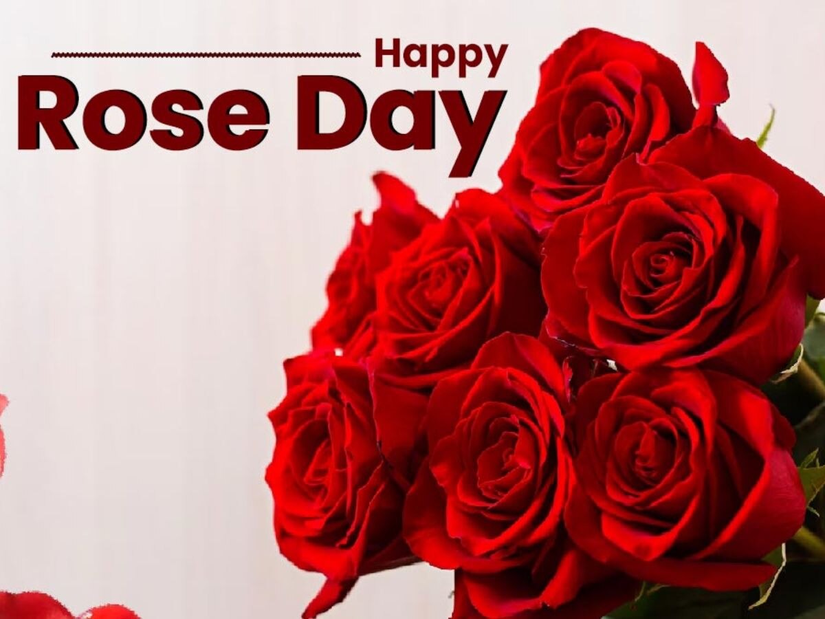 Happy rose day 2024 best shayari