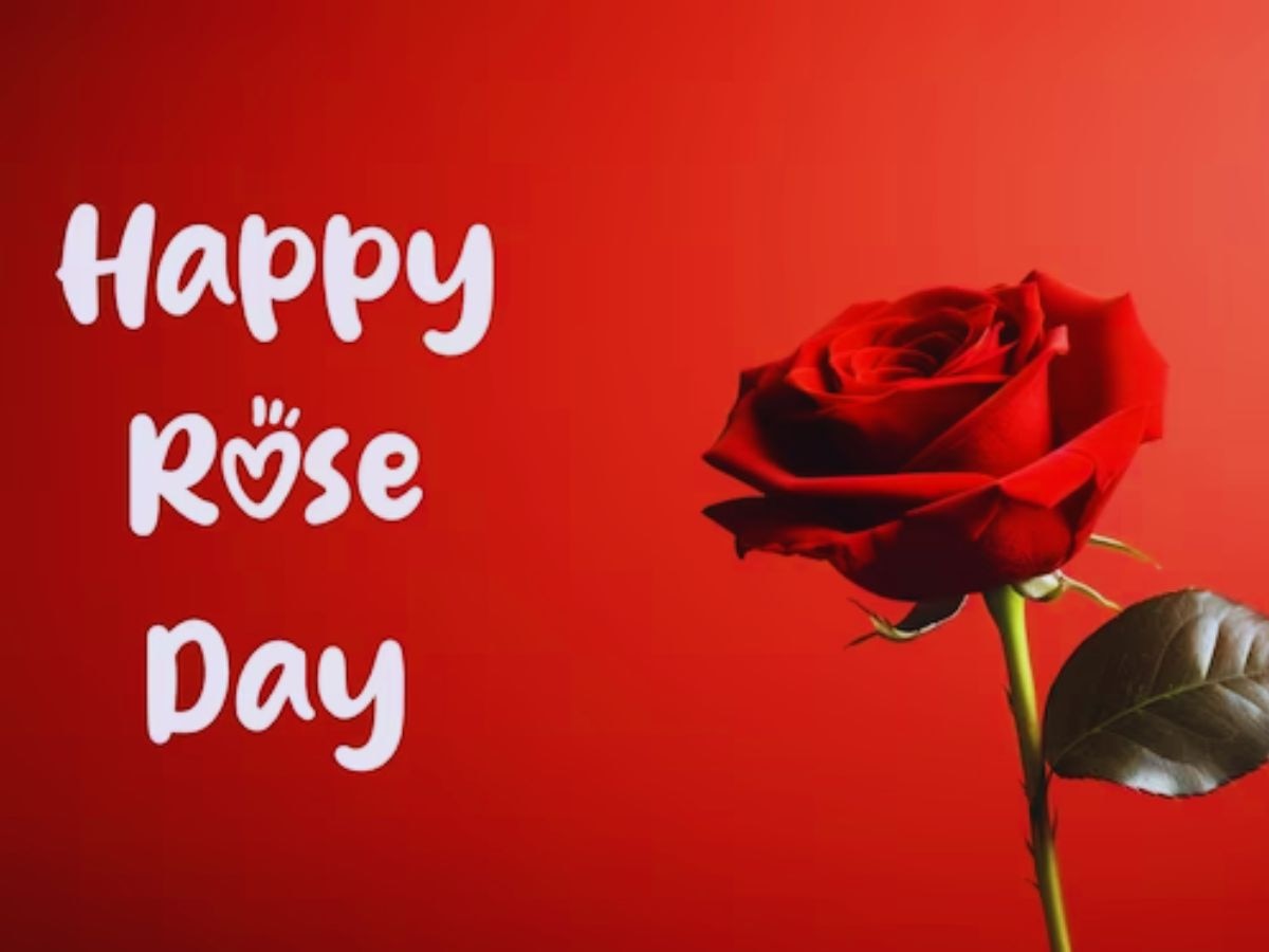 Rose Day 2024: कैसा रहा प्यार के त्योहार का पहला दिन 'रोज डे', कैसी है गुलाब की डिमांड