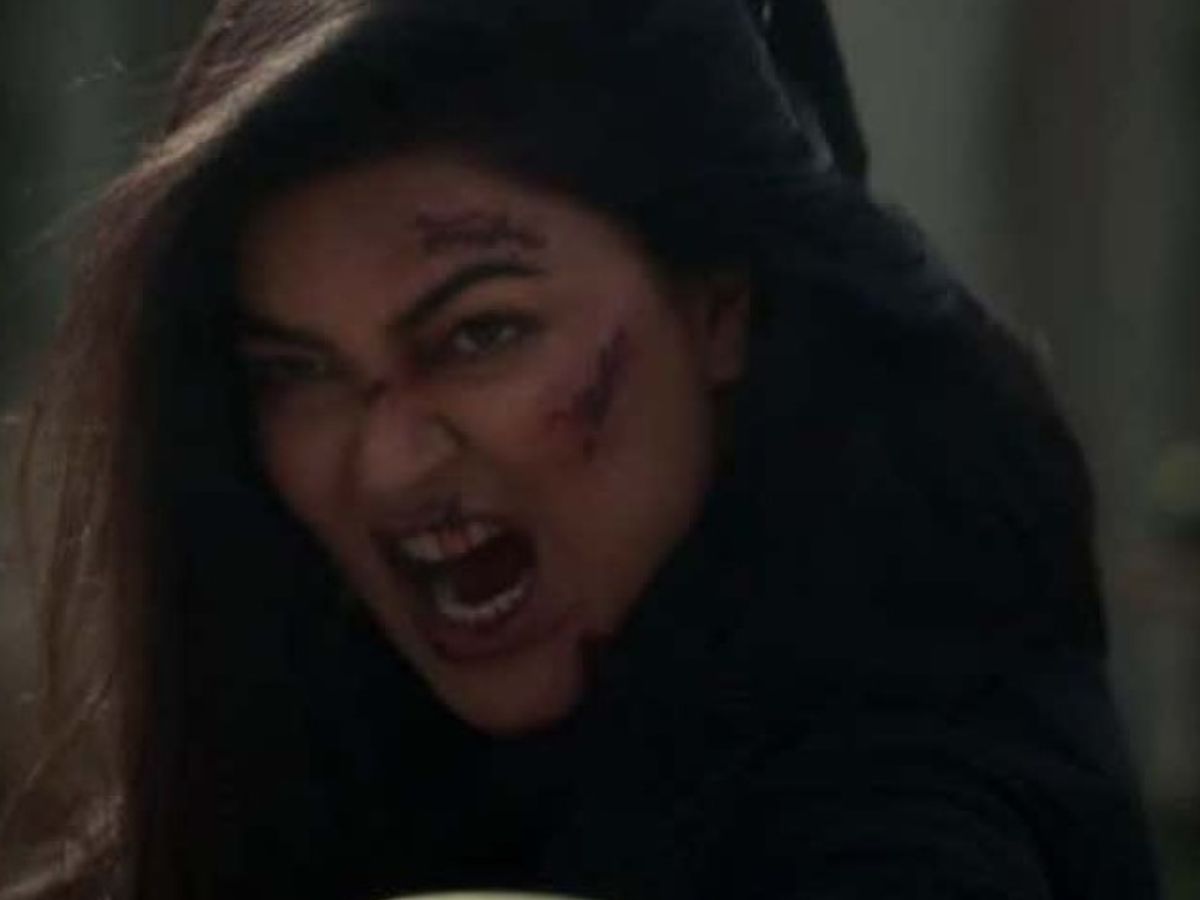 आर्या अंतिम वार