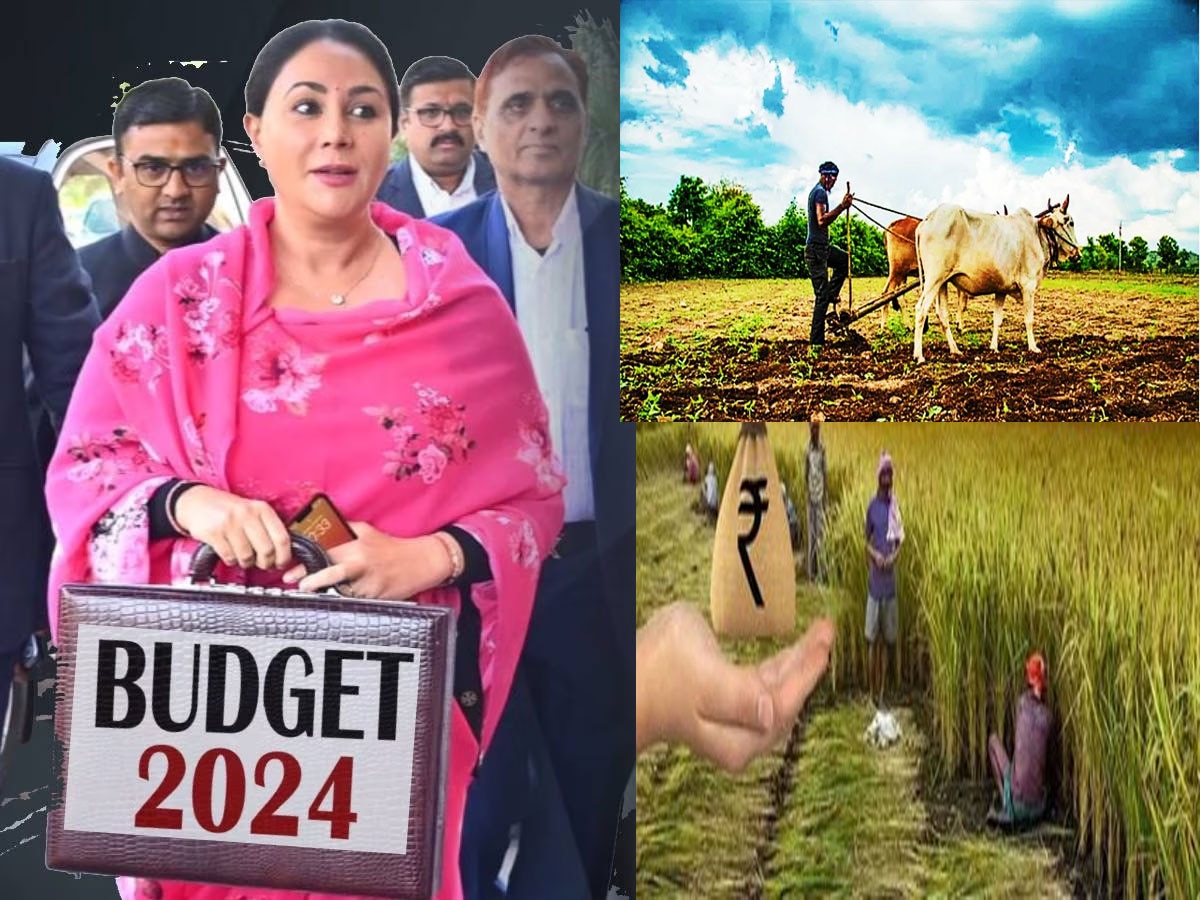 Rajasthan Budget 2024 : बजट में राजस्थान के किसान और पशुपालकों के लिए हुई ये हुई बड़ी घोषणाएं, देखें