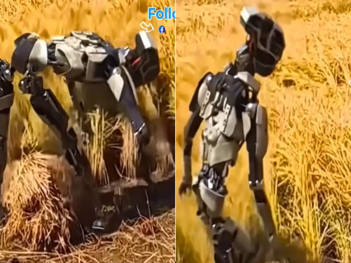 खेतों में फसल काटता नजर आया रोबोट, लोग बोले- अब यह काम भी हमसे छिन जाएगा