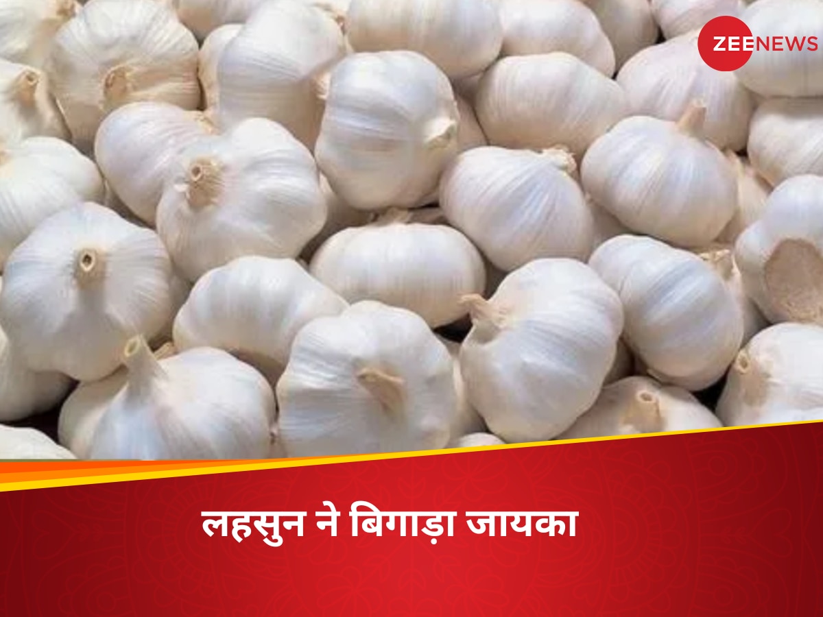 garlic price in india