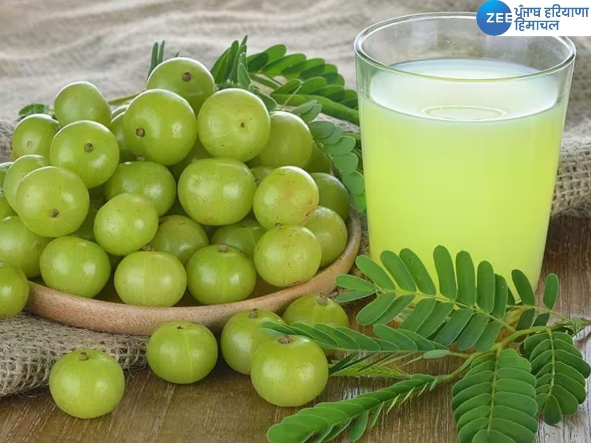 Amla Benefits: आंवला के रस में छुपे हैं कई गुण, त्वचा और बलों के साथ-साथ शरीर को मिलते हैं कई फायदे  