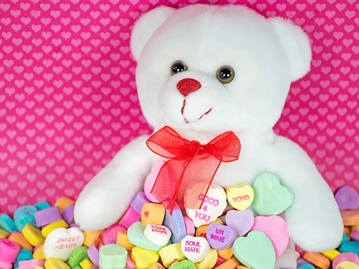 Teddy Day 2024 Wishes Status Images WhatsApp Messages Quotes Greetings