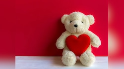 Teddy Day 2024 Special: क्या है इस दिन की दिलचस्प कहानी? टेडी बियर ने बनाया इन फिल्म