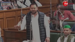 Tejashwi Yadav: 'अब भतीजा झंडा उठाकर बिहार में बीजेपी को रोकेगा'