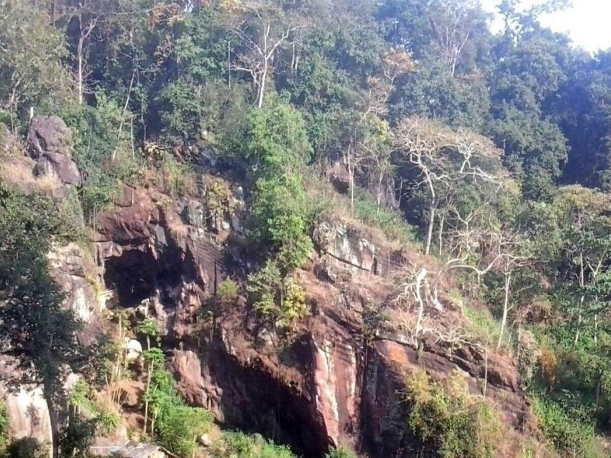  Gupteswar Forest Koraput: ଗୁପ୍ତେଶ୍ୱର ଜଙ୍ଗଲକୁ ମିଳିଲା ଜୈବ ବିବିଧତା ଐତିହ୍ୟ ସ୍ଥଳର ମାନ୍ୟତା