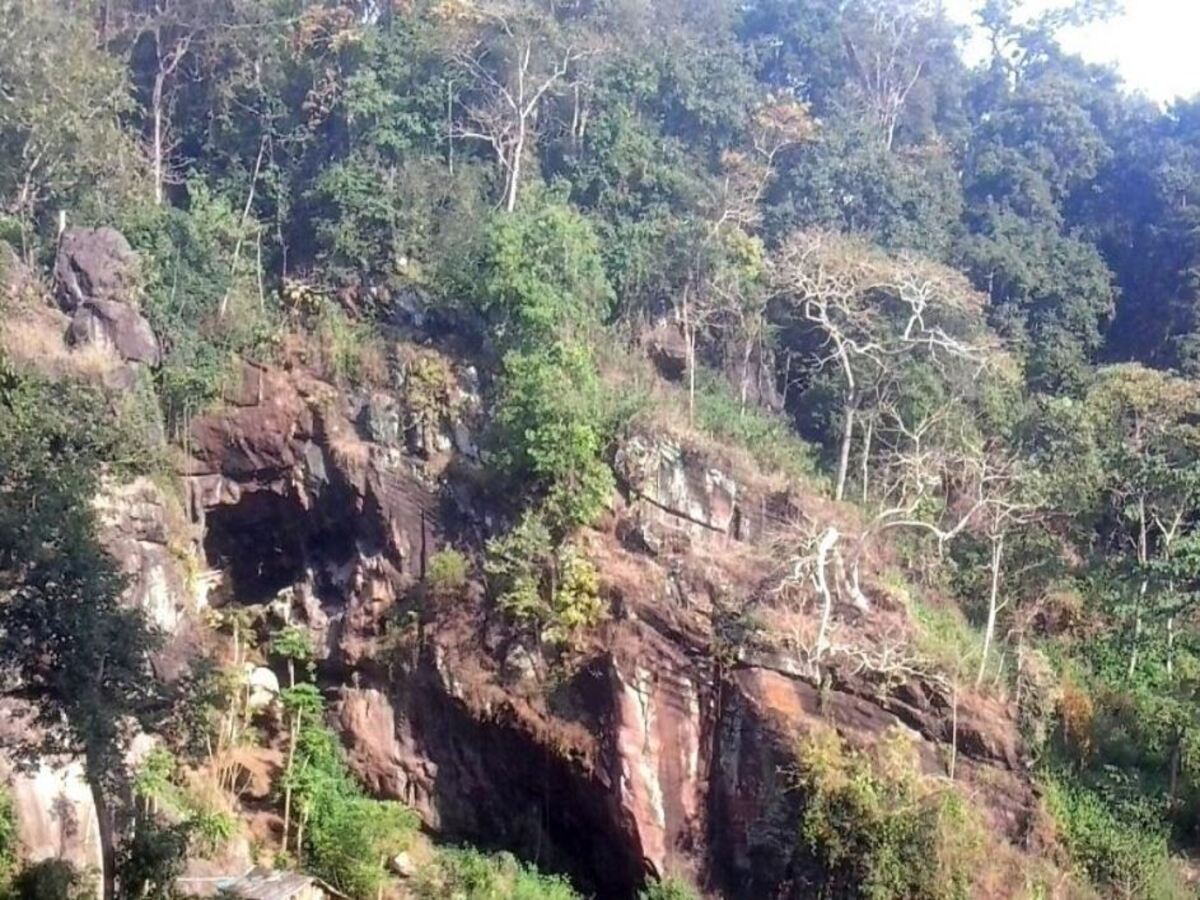 Gupteswar Forest Koraput: ଗୁପ୍ତେଶ୍ୱର ଜଙ୍ଗଲକୁ ମିଳିଲା ଜୈବ ବିବିଧତା ଐତିହ୍ୟ ସ୍ଥଳର ମାନ୍ୟତା Gupteswar Forest Koraput: ଗୁପ୍ତେଶ୍ୱର ଜଙ୍ଗଲକୁ ମିଳିଲା ଜୈବ ବିବିଧତା ଐତିହ୍ୟ ସ୍ଥଳର ମାନ୍ୟତା