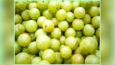 सेहत के लिए काफी लाभदायक है हर रोज एक आंवला का सेवन, रहेंगे स्वस्थ