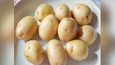 आलू खाने से वजन बढ़ता है कि नहीं, जानिए हैरतंगेज सच्चाई