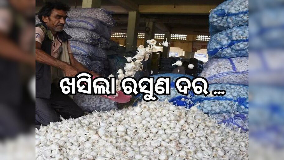 Garlic Price: ଖାଉଟିଙ୍କ ପାଇଁ ଖୁସି ଖବର, କମିଲା ରସୁଣ ଦର !