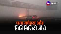Dense Fog: पंजाब में घने कोहरे के कारण विजिविलिटी हुई जीरो, सड़कों पर छाई धुंध 