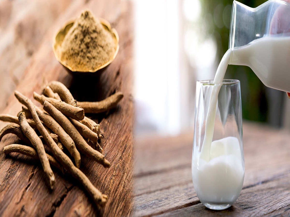 Ashwagandha Benefits: दूध के साथ लिया करें अश्वगंधा, शरीर में होंगे ये 6 बड़े बदलाव