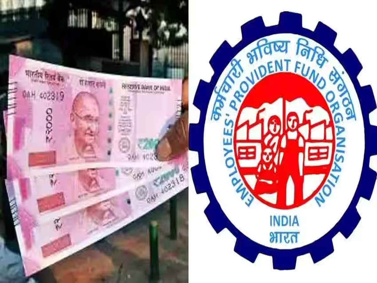 ଏଭଳି ଭାବେ ଚେକ କରନ୍ତୁ ଆପଣଙ୍କ EPFO ବାଲାନ୍ସ ଓ ସୁଧହାର ଏଭଳି ଭାବେ ଚେକ କରନ୍ତୁ ଆପଣଙ୍କ EPFO ବାଲାନ୍ସ ଓ ସୁଧହାର