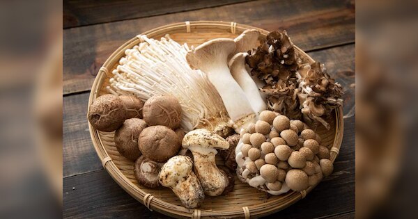 Mushroom Benefits for health in hindi also read about its side effects