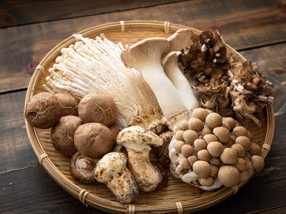 Mushroom Benefits: इन 6 चीजों में लाजवाब चीज है मशरूम, लेकिन कर सकते हैं भारी नुकसान