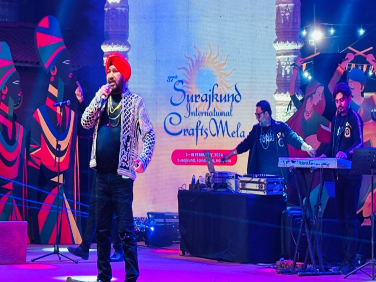 The Best Of Daler Mehndi Used