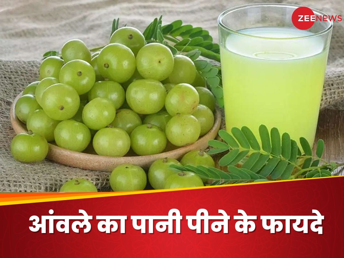 Amla Water: सुबह जागने के बाद क्यों पीना चाहिए आंवले का पानी? न्यूट्रिशनिस्ट से जानें असल वजह