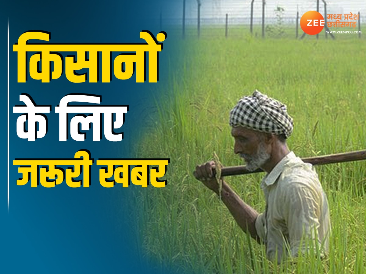 MP के किसानों के लिए जरूरी खबर,  ओलावृष्टि से हुए नुकसान को लेकर CM डॉ. मोहन यादव ने लिया बड़ा फैसला 