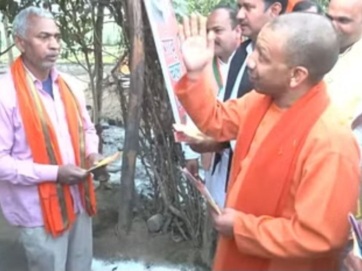 cm yogi 