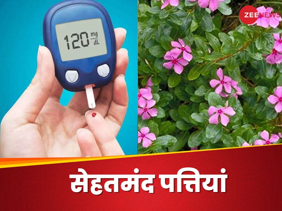 Diabetes: डायबिटीज में कौन से फूल की पत्तियां है फायदेमंद? डाइटीशियन से जानिए इसका नाम