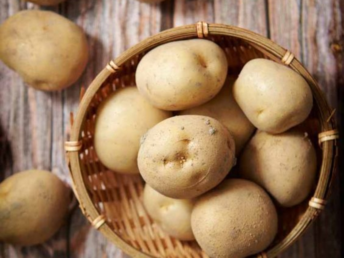 Weight Gain tips: खूब सारा खाने के बाद भी नहीं बढ़ता वजन? इन 5 चीजों को रोजाना डाइट में कर सकते हैं शामिल 14 आलू