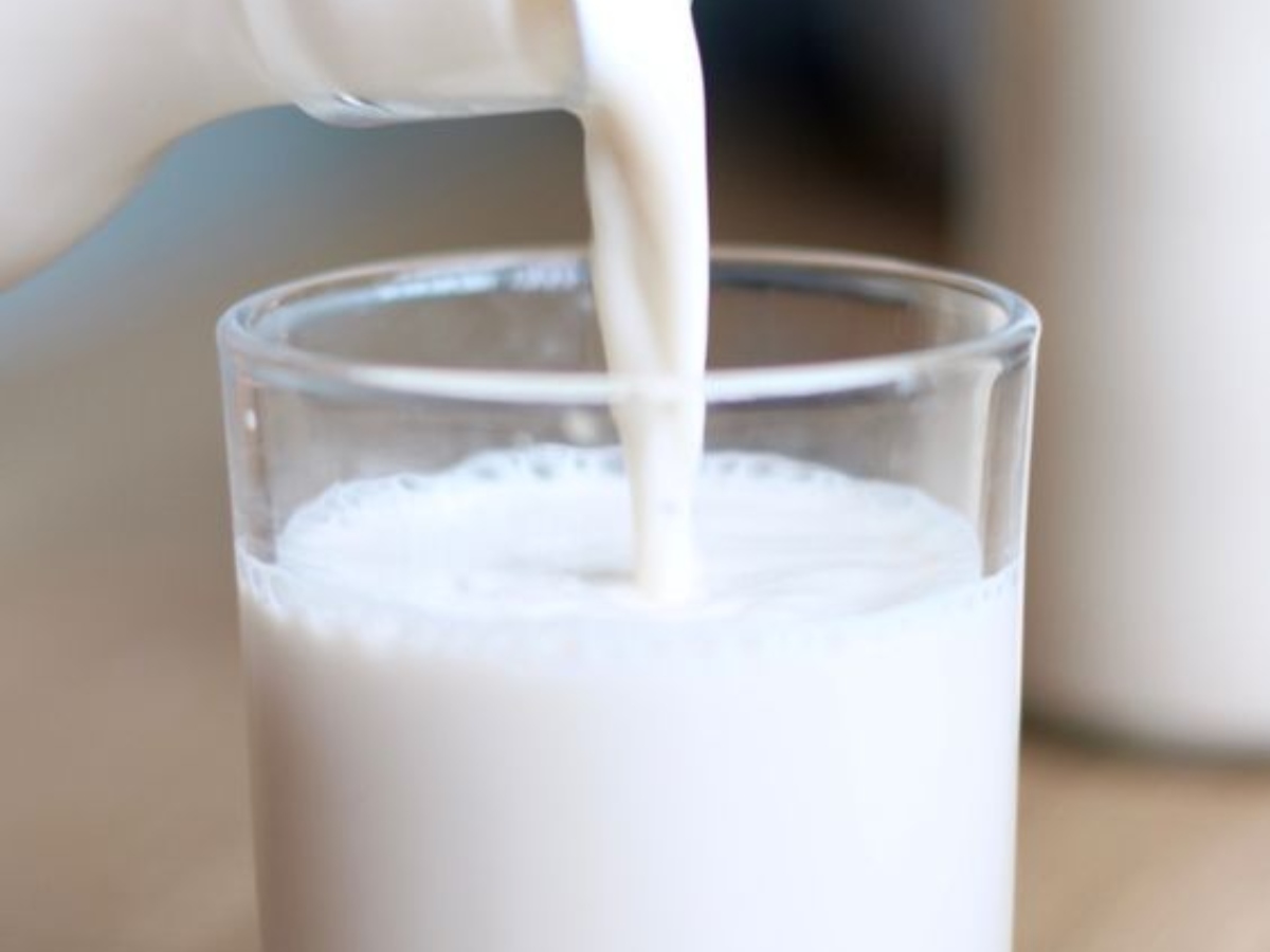 Weight Gain tips: खूब सारा खाने के बाद भी नहीं बढ़ता वजन? इन 5 चीजों को रोजाना डाइट में कर सकते हैं शामिल 12 दूध