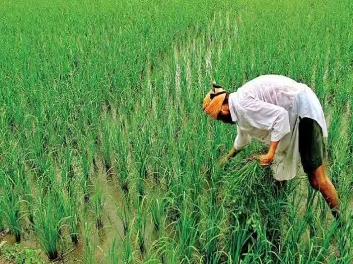 किसानों के लिए फायदेमंद है 'Kisan Mandhan Yojana'; सरकार हर महीने देती है 3000 रुपये पेंशन, आपने किया अप्लाई?