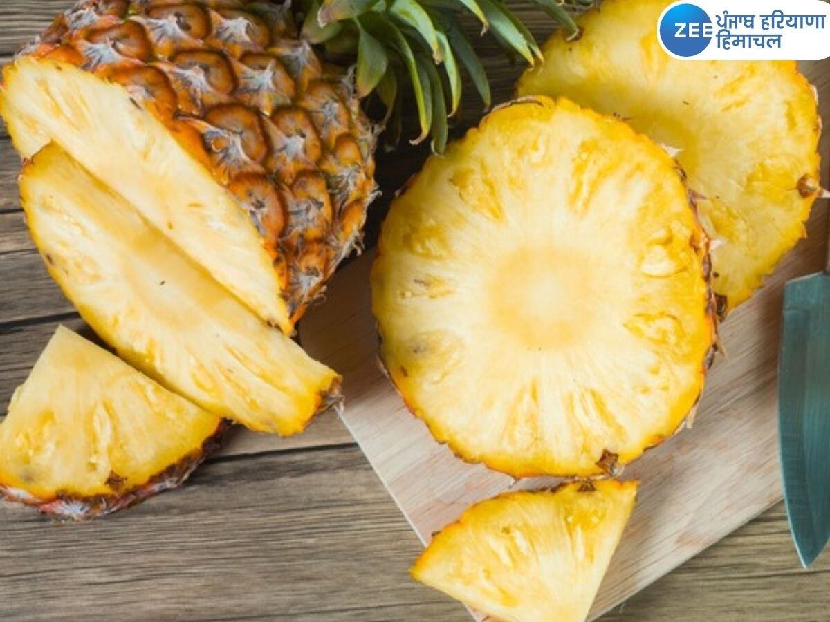 Pineapple Benefits: ਅਨਾਨਾਸ ਖਾਣ ਦੇ ਫਾਇਦੇ ਤੇ ਨੁਕਸਾਨ ਜਾਣ ਕੇ ਰਹਿ ਜਾਓਗੇ ਹੈਰਾਨ, ਜਾਣਨ ਲਈ ਪੜ੍ਹੋ ਖ਼ਬਰ