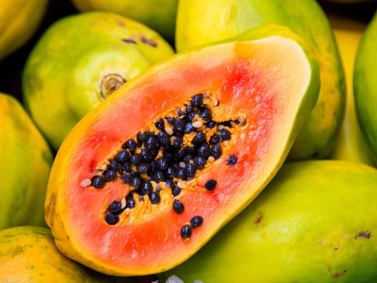 Papaya Benefits: हर रोज खाना शुरू कर दें पपीता, शरीर में होंगे ये 5 बड़े बदलाव