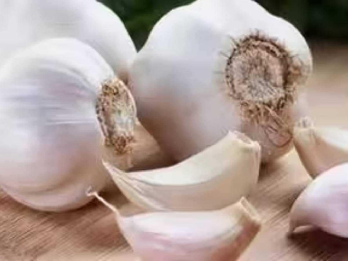 Garlic Price Hike: प्याज नहीं लहसुन के दाम से निकल रहे आंसू, आसमान छू रहे हैं दाम