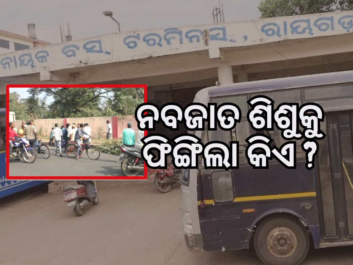 ରାୟଗଡ଼ା ବସ୍ଷ୍ଟାଣ୍ଡ ନିକଟରୁ ନବଜାତକର ମୃତଦେହ ଉଦ୍ଧାର ରାୟଗଡ଼ା ବସ୍ଷ୍ଟାଣ୍ଡ ନିକଟରୁ ନବଜାତକର ମୃତଦେହ ଉଦ୍ଧାର