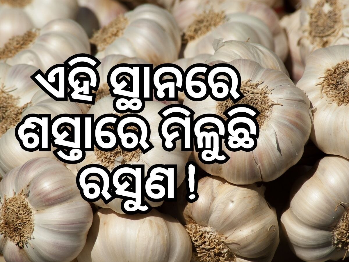 Garlic Price : ଏହି ସ୍ଥାନରେ ମାତ୍ର ୨ଶହ ଟଙ୍କାରେ ମିଳୁଛି ରସୁଣ, କିଣିବାକୁ ପ୍ରବଳ ଭିଡ