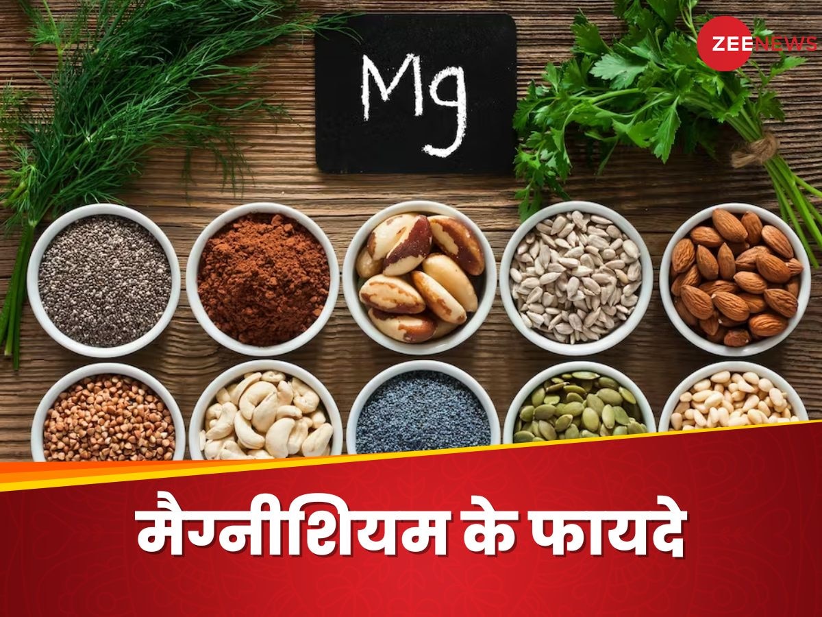 Magnesium Benefits: मैग्नीशियम रिच फूड्स क्यों खाना चाहिए? डाइटीशियन ने बताए 7 फायदे