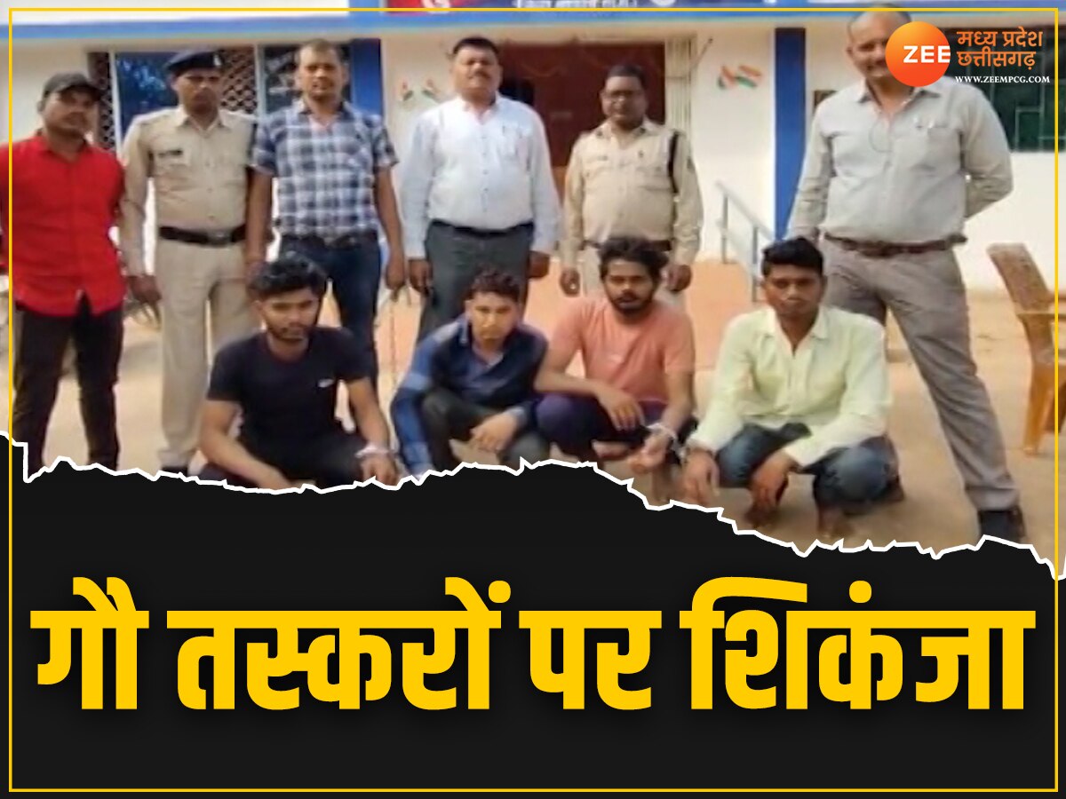 Chhattisgarh News:  बालोद पुलिस की बड़ी कामयाबी, दौड़ाकर पकड़ा गोवंश से भरा पिकअप