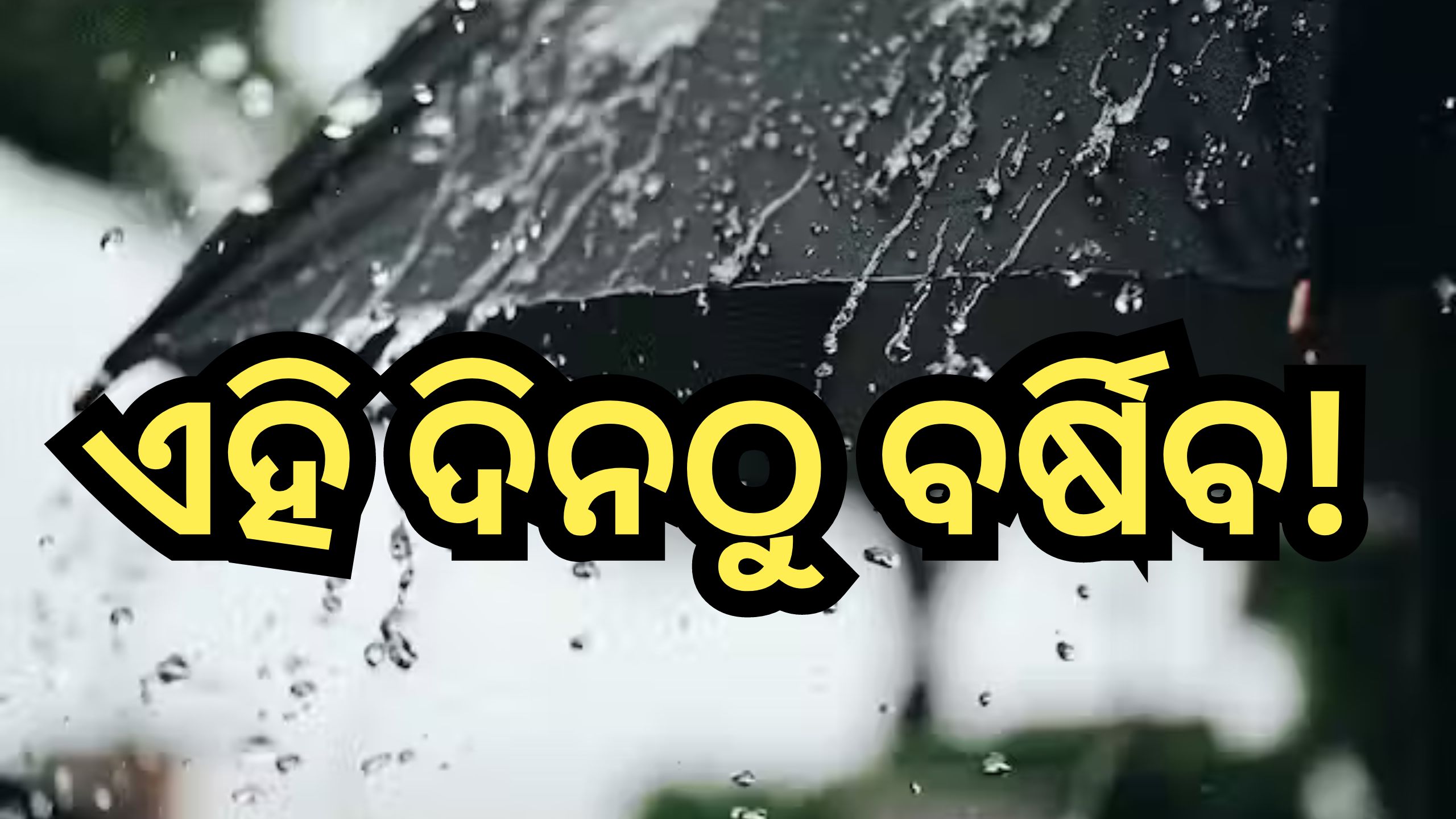 Weather Update: ତାତିରୁ ମିଳିବ ଆଶ୍ବସ୍ତି, ବର୍ଷା ନେଇ ଏହି ସବୁ ଜିଲ୍ଲାକୁ ଆଲର୍ଟ ଜାରି! Weather Update: ତାତିରୁ ମିଳିବ ଆଶ୍ବସ୍ତି, ବର୍ଷା ନେଇ ଏହି ସବୁ ଜିଲ୍ଲାକୁ ଆଲର୍ଟ ଜାରି!