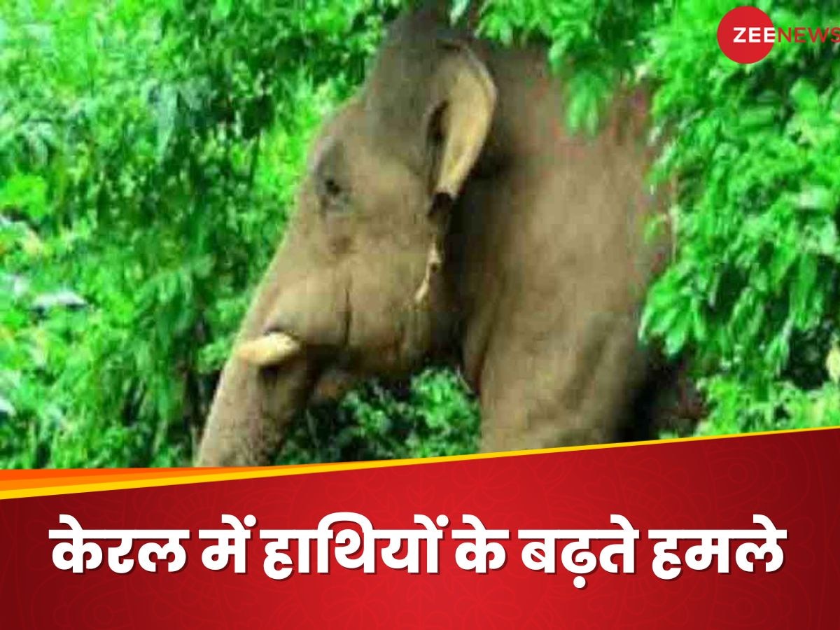 Elephant Attack In Kerala: केरल में हाथी क्यों हो रहे गुस्सैल, बढ़ रहे हैं इंसानों पर हमले, क्या है वजह?
