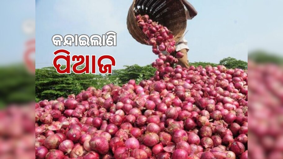 Onion Price: ରସୁଣ ପରେ ଅଚାନକ ବଢିଗଲା ପିଆଜ ଦର, ହନ୍ତସନ୍ତ ଖାଉଟି