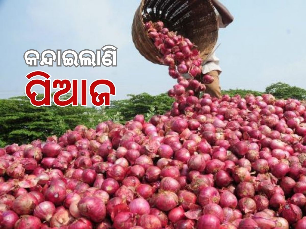 Onion Price: ରସୁଣ ପରେ ଅଚାନକ ବଢିଗଲା ପିଆଜ ଦର, ହନ୍ତସନ୍ତ ଖାଉଟି Onion Price: ରସୁଣ ପରେ ଅଚାନକ ବଢିଗଲା ପିଆଜ ଦର, ହନ୍ତସନ୍ତ ଖାଉଟି