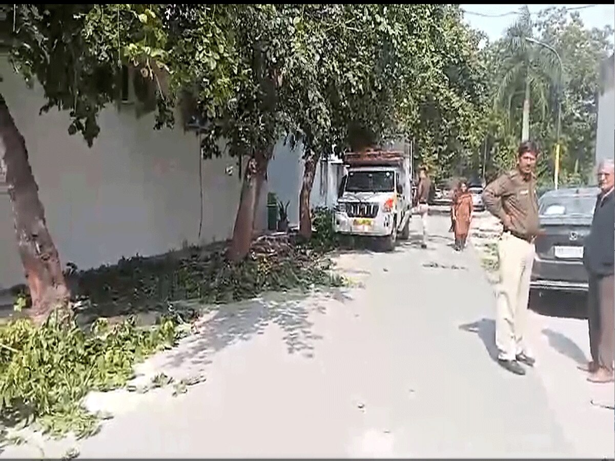 South Delhi: दिल्ली के इस पॉश इलाके में हो रही है पेड़ों की कटाई, लकड़ी से भरा टेम्पो जब्त, वन विभाग के संग जांच में जुटी पुलिस