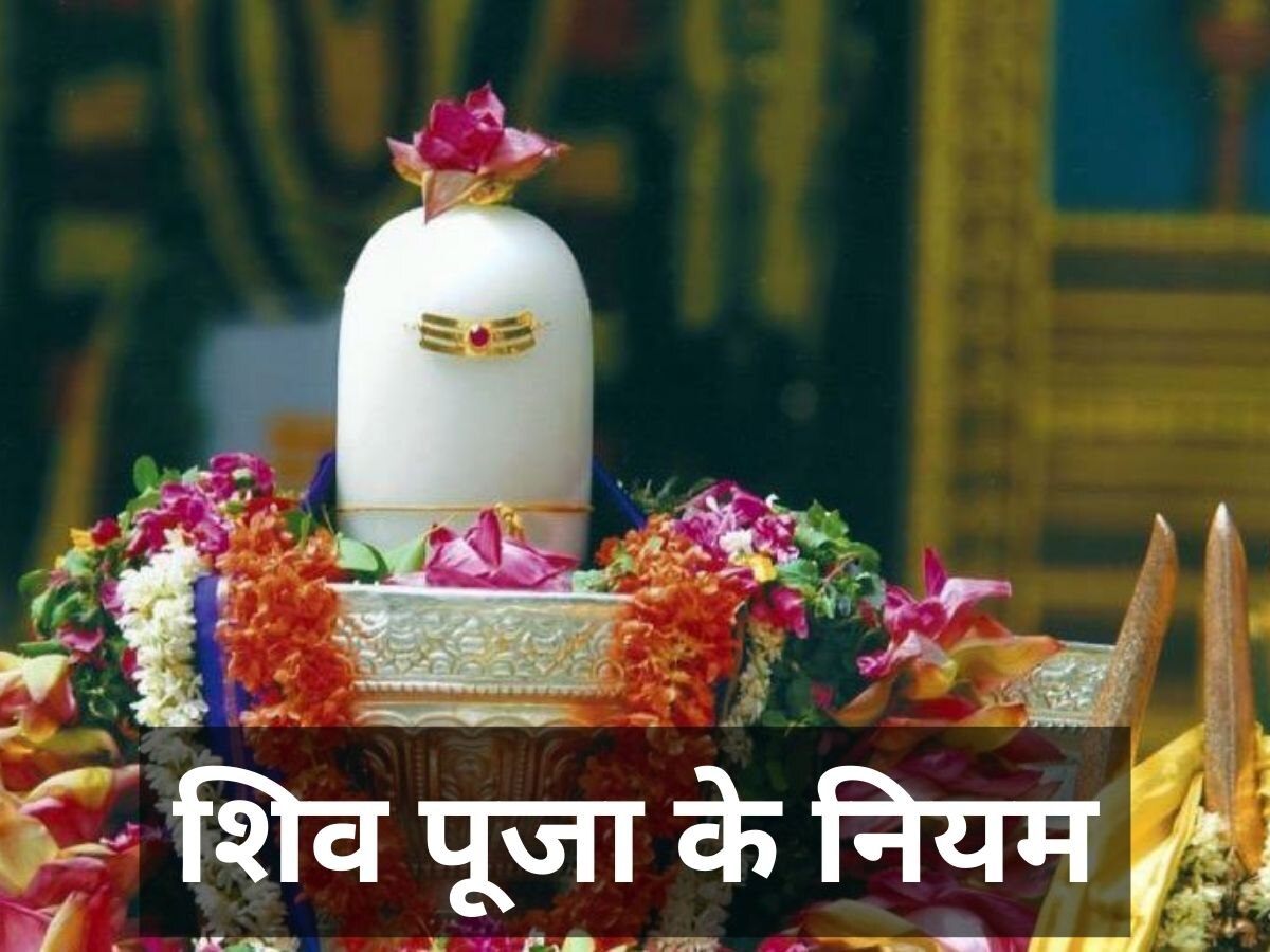 Lord Shiv Puja: इन 2 चीजों से करें भोलेनाथ का अभिषेक, भगवान शिव प्रसन्न हो कर दूर करेंगे हर दुख