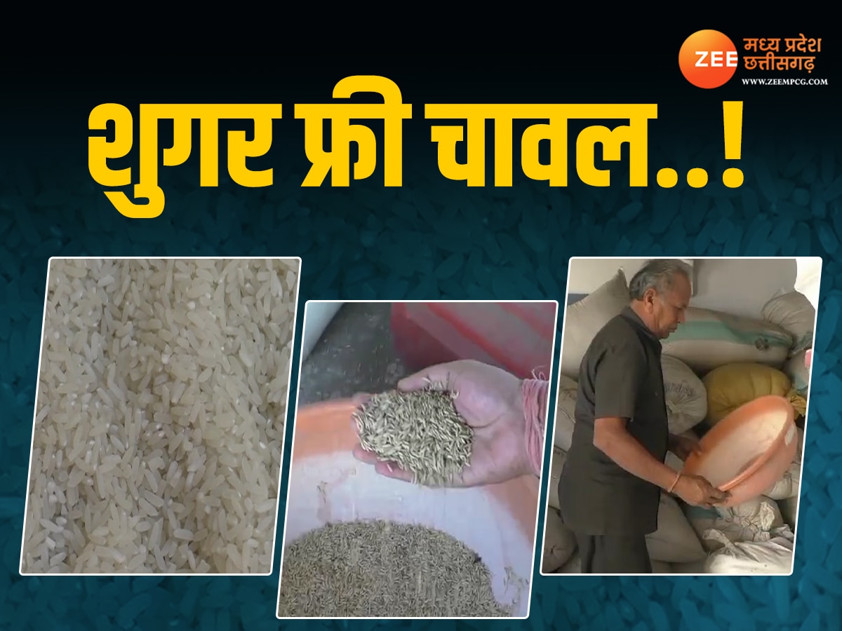 Janjgir Champa News: विशेष धान से किसान ने बनाई पहचान, जानें क्या शुगर फ्री चावल का दावा? उत्पादन का अनोखा किस्सा