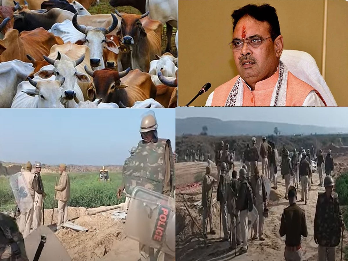 Breaking news:  Alwar Beef Mandi पर भजनलाल सरकार की बड़ी कार्रवाई, पूरा थाना हुआ लाइन हाजिर, पुलिस और प्रशासन पर मिलीभगत के आरोप