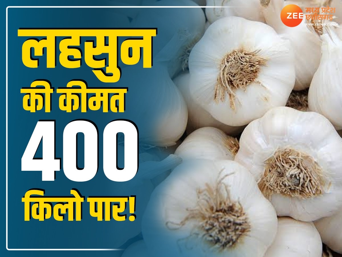 Garlic price: महंगे लहसुन ने बिगाड़ा किचन का बजट, 300 से 450 रुपये किलो पर पहुंचा भाव