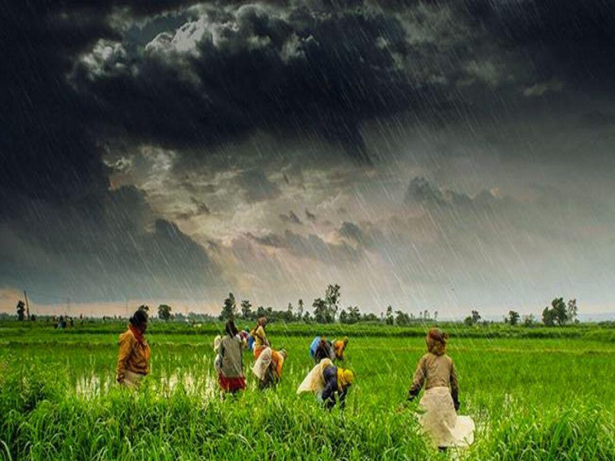 Weather Update: मौसम की मार से किसान परेशान, जयपुर समेत इन क्षेत्रों में आज भी बारिश के आसार 