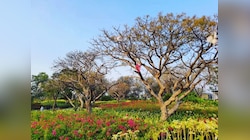 दिल्ली वालों को मिलेगी ECO Park की सौगात, पर्यटकों के साथ रोजगार को मिलेगा बढ़ावा